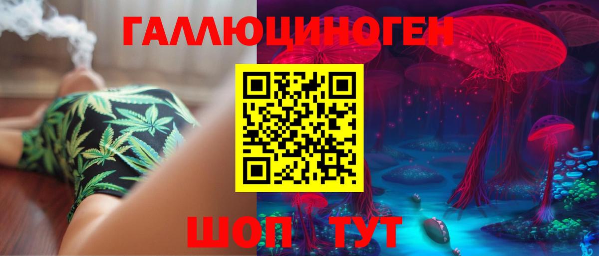 Псилоцибиновые грибы GOLDEN TEACHER  где можно купить наркотик  Ковров  Вход с VPN  Псилоцибиновые грибы Magic Shrooms 